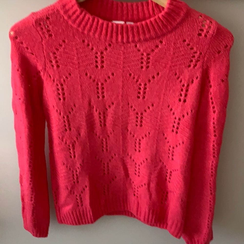 **final price**Gap sweater 